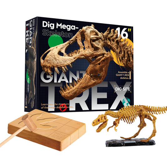 Dinosaurio divertido. Desarrollo juguete de plástico. Dino esqueleto montaje cavar Kit de juguete